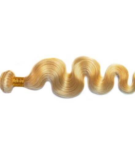 Body Wave Virgin Hair