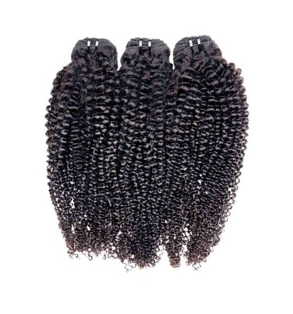 Kinky Curly Raw Indian Hair (steamed)